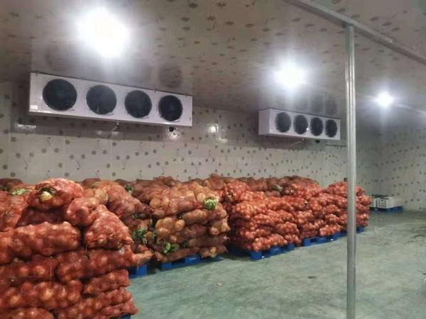 哈尔滨市果蔬保鲜冷库选型常见问题